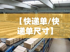 【快递单/快递单尺寸】