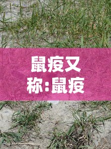 抗击疫情征文(抗击疫情征文大赛获奖征文) 抗击疫情征文(抗击疫情征文大赛获奖征文)