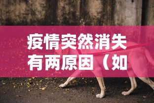 【图解157名病例轨迹,图解157名病例轨迹图】