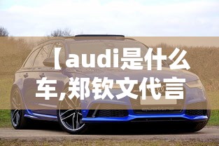 【audi是什么车,郑钦文代言的audi是什么车】