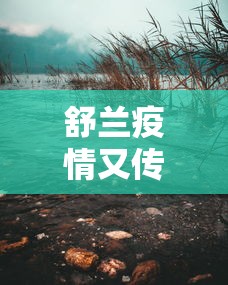 随州疫情/随州疫情交通管制通知