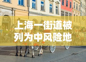 上海一街道被列为中风险地区（上海什么区是中风险地区）