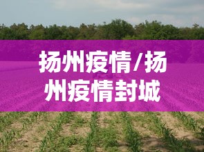 扬州疫情/扬州疫情封城起始时间