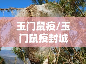 玉门鼠疫/玉门鼠疫封城 玉门鼠疫/玉门鼠疫封城